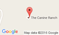 The Canine Ranch Location