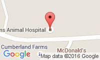 Adams Animal Hospital Location