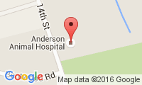 Anderson Animal Hospital Location