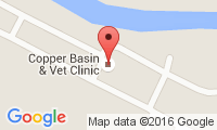 Copper Basin Veterinary Clinic Location