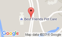 Best Friends Pet Care -Disney Orlando Location