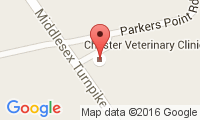 Chester Veterinary Clinic Location
