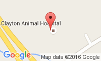 Dayton Animal Hospital Assn Location