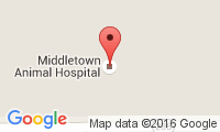 Middletown Animal Hospital Location